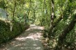 Trail ad anello Rapallo - San Rocco di Camogli - Semaforo nuovo - S. Margherita ligure