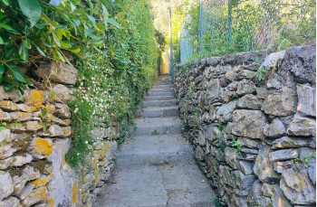 Rundweg Rapallo - San Rocco di Camogli - Semaforo nuovo - S. Margherita ligure