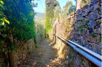 Loop trail Rapallo - San Rocco di Camogli - Semaforo nuovo - S. Margherita ligure