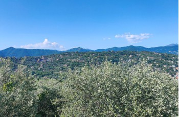 Rundweg Rapallo - San Rocco di Camogli - Semaforo nuovo - S. Margherita ligure