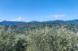 Loop trail Rapallo - San Rocco di Camogli - Semaforo nuovo - S. Margherita ligure