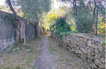 Trail ad anello Rapallo - San Rocco di Camogli - Semaforo nuovo - S. Margherita ligure