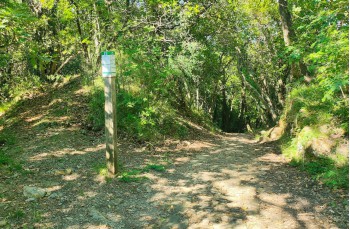 Loop trail Rapallo - San Rocco di Camogli - Semaforo nuovo - S. Margherita ligure