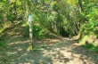 Loop trail Rapallo - San Rocco di Camogli - Semaforo nuovo - S. Margherita ligure