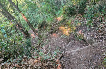 Loop trail Rapallo - San Rocco di Camogli - Semaforo nuovo - S. Margherita ligure