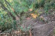 Rundweg Rapallo - San Rocco di Camogli - Semaforo nuovo - S. Margherita ligure