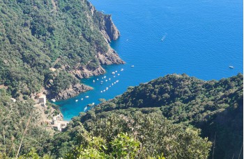 Trail ad anello Rapallo - San Rocco di Camogli - Semaforo nuovo - S. Margherita ligure
