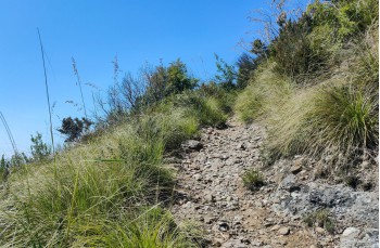 Loop trail Rapallo - San Rocco di Camogli - Semaforo nuovo - S. Margherita ligure