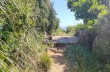 Loop trail Rapallo - San Rocco di Camogli - Semaforo nuovo - S. Margherita ligure