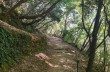Itinéraire en boucle Rapallo - San Rocco di Camogli - Semaforo nuovo - S. Margherita ligure