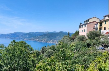 Trail ad anello Rapallo - San Rocco di Camogli - Semaforo nuovo - S. Margherita ligure
