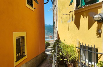 Trail ad anello Rapallo - San Rocco di Camogli - Semaforo nuovo - S. Margherita ligure
