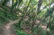 Loop trail Rapallo - San Rocco di Camogli - Semaforo nuovo - S. Margherita ligure