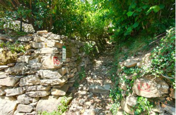 Itinéraire en boucle Rapallo - San Rocco di Camogli - Semaforo nuovo - S. Margherita ligure