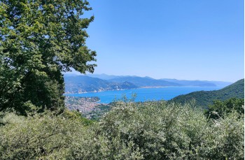Rundweg Rapallo - San Rocco di Camogli - Semaforo nuovo - S. Margherita ligure