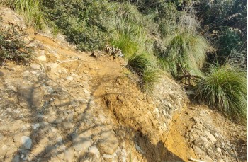 Malerische Strecke von San Fruttuoso nach Camogli