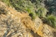 Malerische Strecke von San Fruttuoso nach Camogli