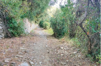 Path to S. Pantaleo
