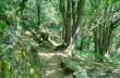 Route auf dem Monte di Portofino ab Ruta di Camogli