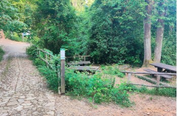 Route auf dem Monte di Portofino ab Ruta di Camogli