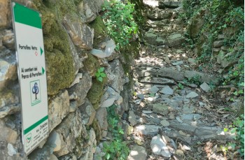 Route auf dem Monte di Portofino ab Ruta di Camogli