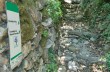 Route auf dem Monte di Portofino ab Ruta di Camogli