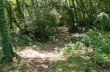 Route auf dem Monte di Portofino ab Ruta di Camogli