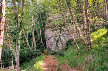 Rundweg San Rocco di Camogli - Semaforo Vecchio - Semaforo Nuovo - Punta Chiappa