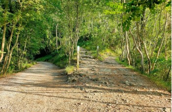 Rundweg San Rocco di Camogli - Semaforo Vecchio - Semaforo Nuovo - Punta Chiappa