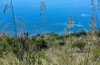 Rundweg San Rocco di Camogli - Semaforo Vecchio - Semaforo Nuovo - Punta Chiappa