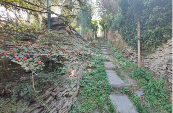 Trail ad anello Lavagna - Monte S. Giacomo - Monte Rocchette - S. Giulia