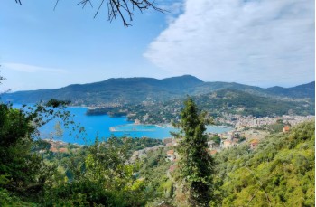 Rapallo