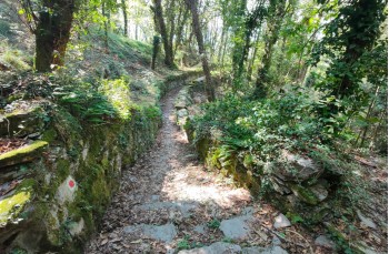 Loop trail Lavagna - Monte S. Giacomo - Monte Rocchette - S. Giulia