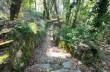 Loop trail Lavagna - Monte S. Giacomo - Monte Rocchette - S. Giulia