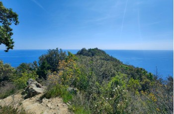 Rundweg Punta Manara ab Sestri Levante