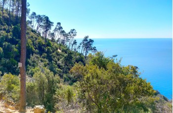 Itinerario ad anello di Punta Manara da Sestri Levante.