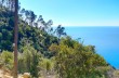 Itinerario ad anello di Punta Manara da Sestri Levante.