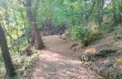 Trekking auf einigen weniger begangenen Wegen des Monte di Portofino