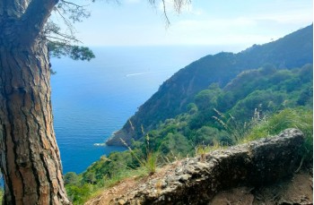Trekking auf einigen weniger begangenen Wegen des Monte di Portofino