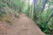 Trekking auf einigen weniger begangenen Wegen des Monte di Portofino