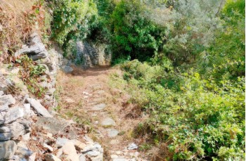 Sentiero verso San Bernardo