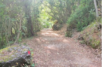 Trekking auf einigen weniger begangenen Wegen des Monte di Portofino