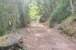 Trekking auf einigen weniger begangenen Wegen des Monte di Portofino