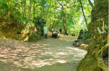 Trekking auf einigen weniger begangenen Wegen des Monte di Portofino
