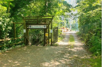Trekking auf einigen weniger begangenen Wegen des Monte di Portofino