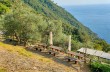 Trekking auf einigen weniger begangenen Wegen des Monte di Portofino