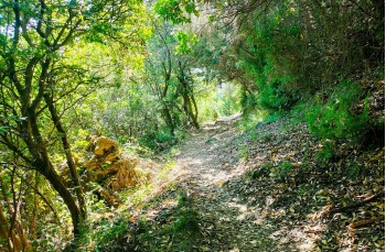 Trekking auf einigen weniger begangenen Wegen des Monte di Portofino