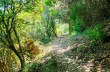 Trekking auf einigen weniger begangenen Wegen des Monte di Portofino