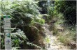 Ruta - Portofino Vetta - Pietre strette