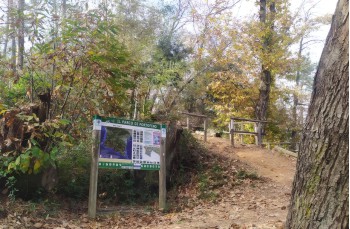 Trail ad anello nel Parco di Portofino da Nozarego